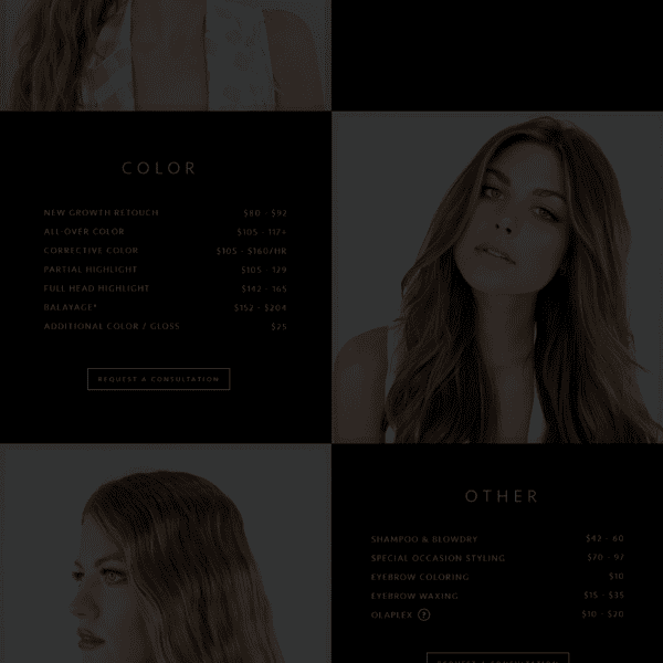 Services-hover